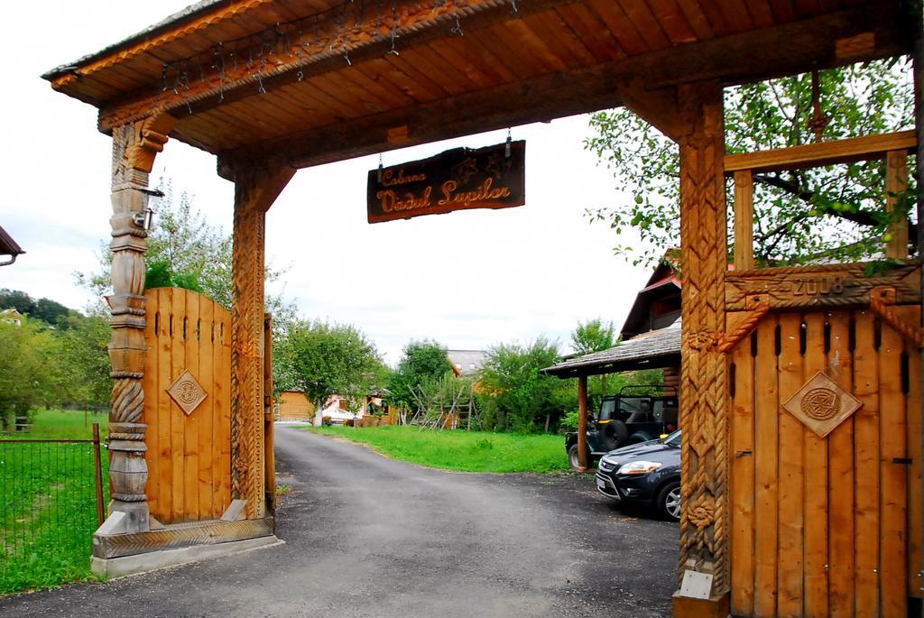 Vadul Lupilor Hotel Moisei Buitenkant foto